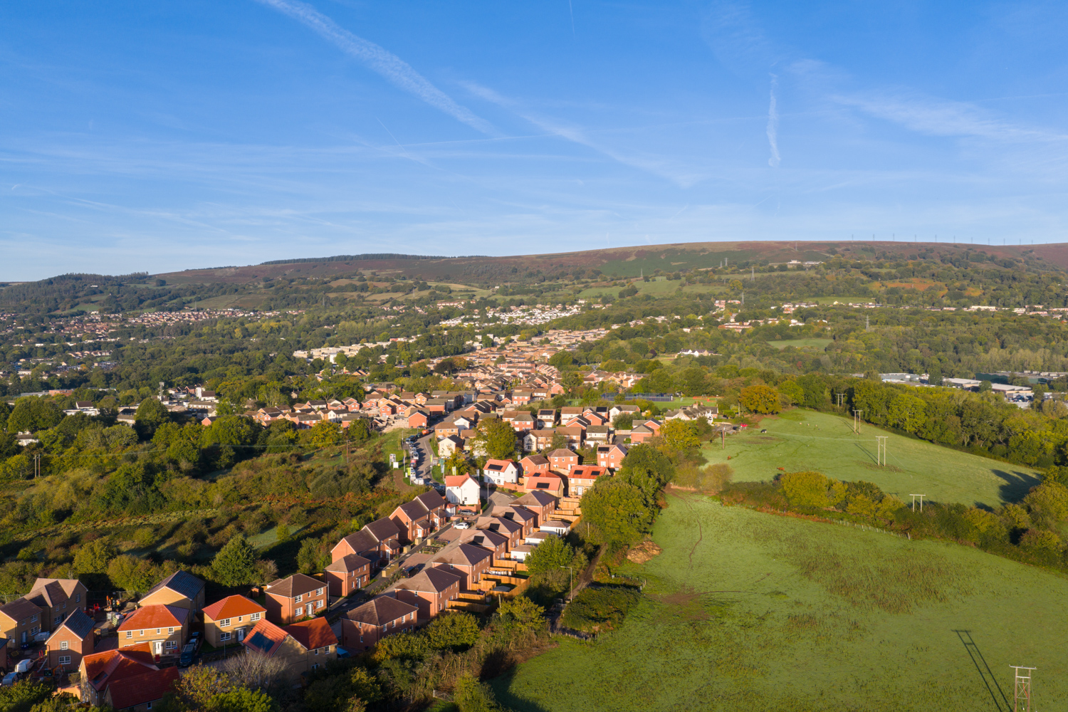 HollyView localarea
